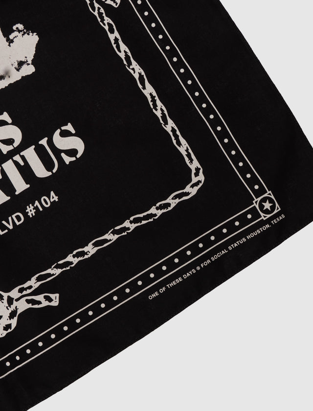 ROUND UP BANDANA