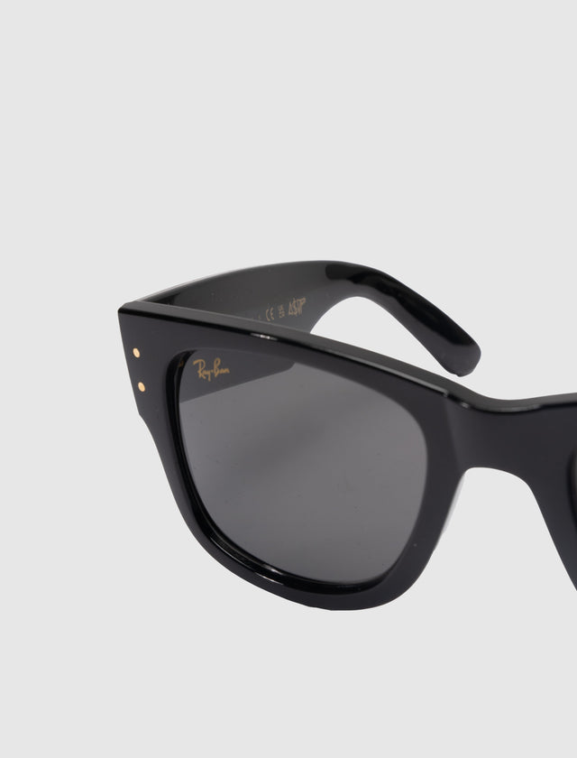 MEGA WAYFARER